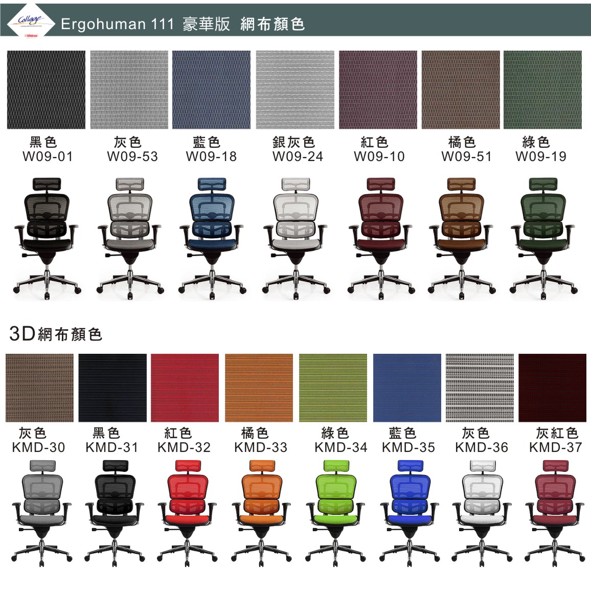Ergohuman111人體工學椅|電腦網椅-網布顏色照片